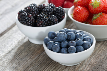 blueberries in a bowl and fresh garden berries