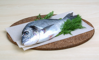 Raw dorado