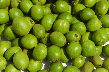 Green young walnuts