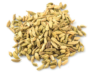 Cardamom spices over white background