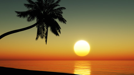 Fototapeta na wymiar Sunset at the tropical beach with coconut palm trees silhouette