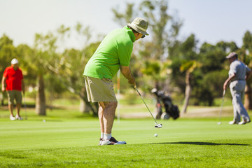 Golf player putting on the green in a golf course. - obrazy, fototapety, plakaty