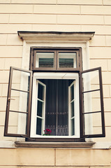Typical photo of european window with a plant of flower