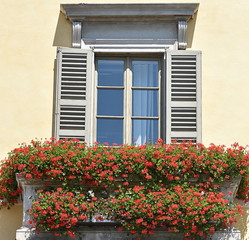 porte fenêtre sur petit balcon fleuri