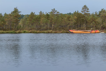 Obraz premium Sailing inflatable catamaran floating on forest lake water