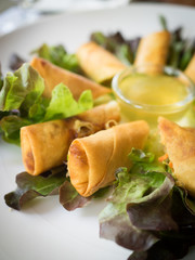 Fried Chinese Traditional Spring rolls food