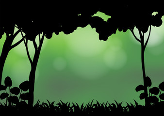 Silhouette forest