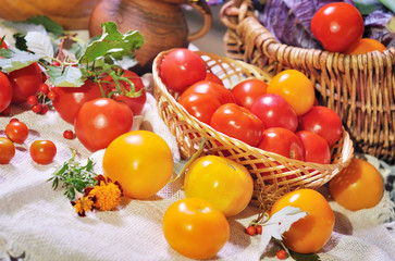 still life with tomatoes