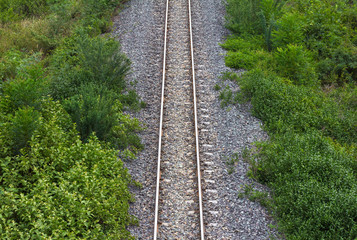 Obraz premium Railway with grass, weeds