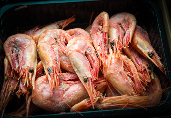Frozen shrimp in package. Selective focus.
