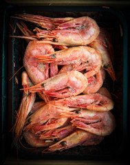 Frozen shrimp in package. Selective focus.