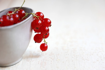 Johannisbeeren in einer Schale