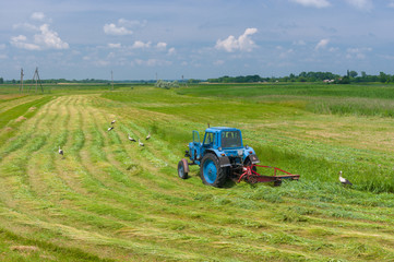 Mowing hay with stork inspection on a water-meadow in Ukraine at summer time