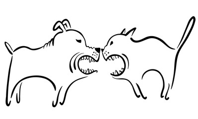 cat and dog fight