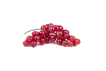 Redcurrant