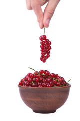 Redcurrants in a bowl
