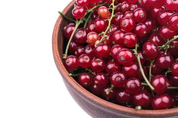 Redcurrants in a bowl