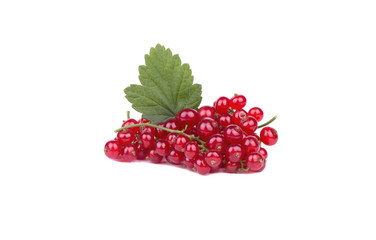 Redcurrants with leaf