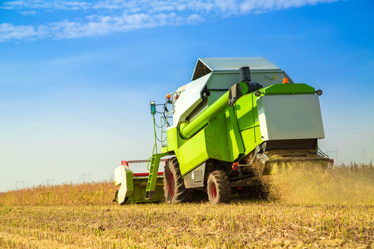 Combine harvester harvesting soybean at field