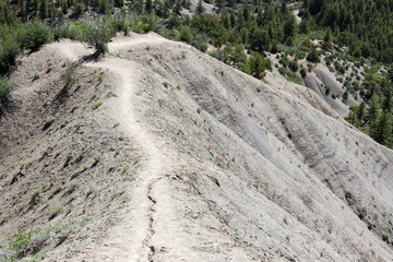 Looking down the knife edge trail on Hogsback mountain in Durango, Colorado