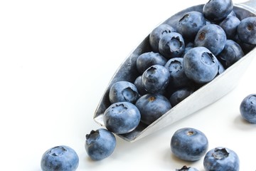 Blueberries isolated on white