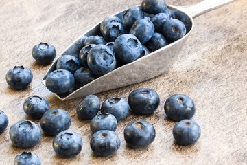 Blueberries in a metal scoop