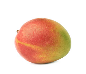 Single mango fruit isolated