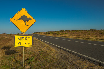 Warning Kangaroo 