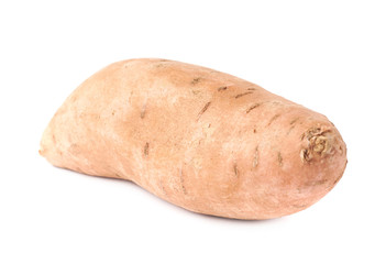 Sweet potato plant isolated