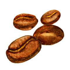 watercolor coffee beans. vector illustration