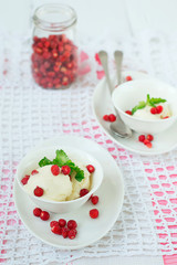 Vanilla ice cream with wild strawberry