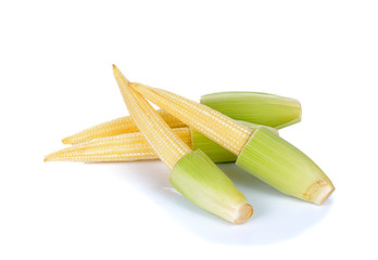 Baby corn on a white background