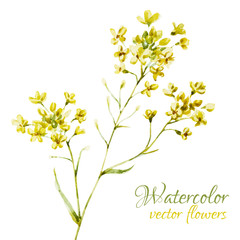 Nice watercolor flowers