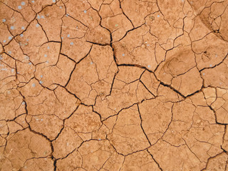 Dry and cracked earth background