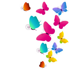 butterflies design