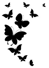 butterflies design