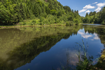 Fototapeta na wymiar étang des Vosges