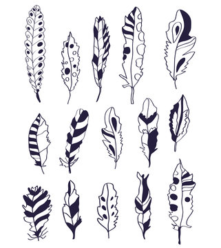 Feathers set - line hand drawn design