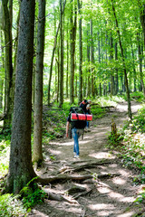 Young people hiking with backpacks. Happy travelers hikers having fun outdoors in forest.