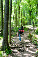 Obraz premium Young people hiking with backpacks. Happy travelers hikers having fun outdoors in forest.