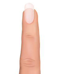 Nail. Female finger with french manicure.