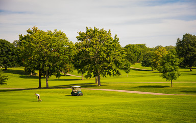 Summer on Golf Course