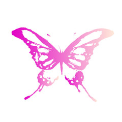 butterflies design