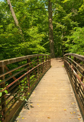 Fototapeta premium Walk Bridge Over Creek