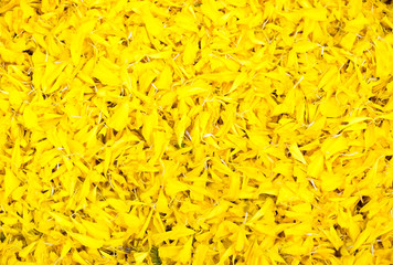 Flower market in Thailand,petal of marigold texture background