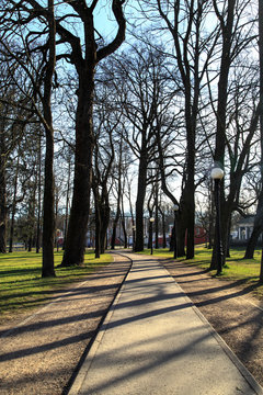 Pathway among Trees