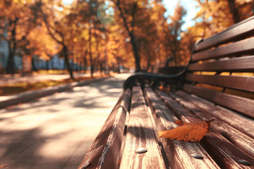 Park bench autumn urban landscape recreation - Powered by Adobe