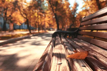 Aluminium Prints Autumn Park bench autumn urban landscape recreation