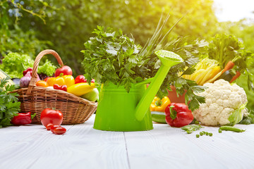 Fresh organic vegetables and fruits on wood table in the garden
