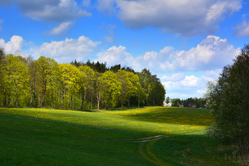 Spring landscape